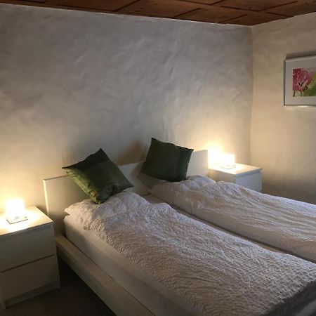 Laufen-Uhwiesen Guesthouse Les Mignardises מראה חיצוני תמונה